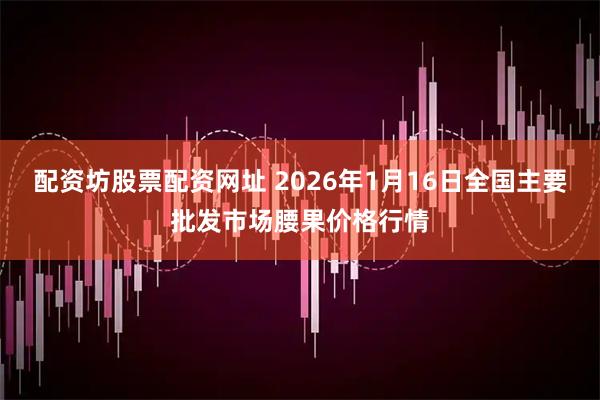 配资坊股票配资网址 2026年1月16日全国主要批发市场腰果价格行情